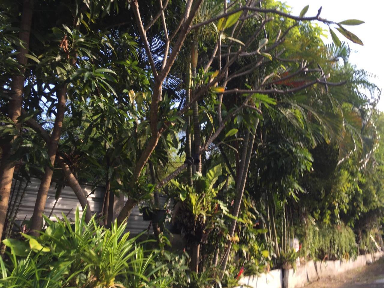Nan Inn Bungalow Karon Kültér fotó